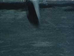 8118788 B