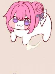 255614 B