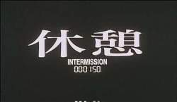 10055 B
