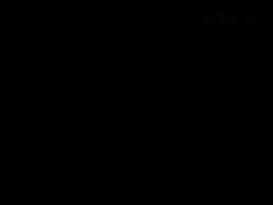 2255563 B