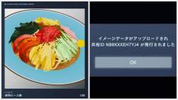 1546069 B