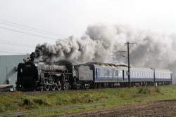 39384 B