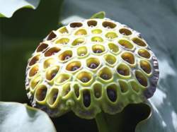 100580 B