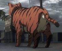 7307 B