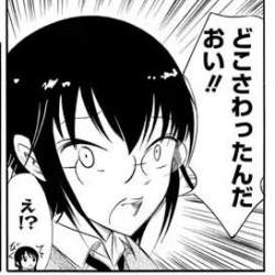 24453 B