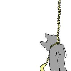 50296 B