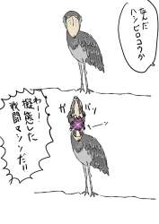 75681 B