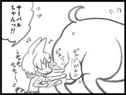 40797 B