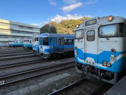 3111516 B
