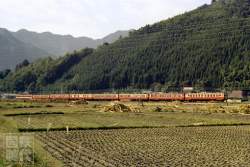 243422 B