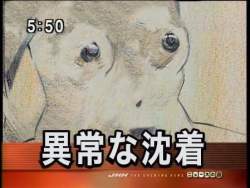 71759 B