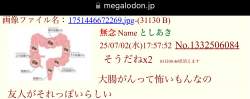 303041 B