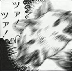 22432 B