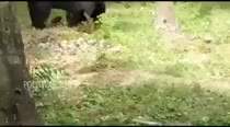 4805074 B