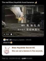 905864 B