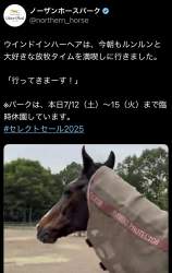351138 B