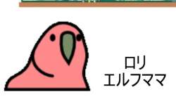 75339 B