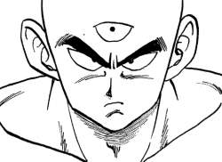 72981 B