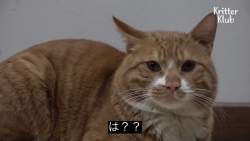 139484 B