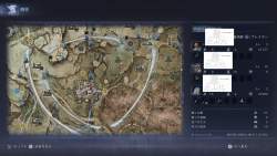 2995206 B