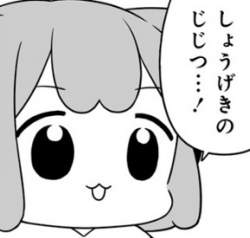 34306 B