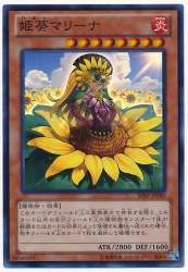 59646 B