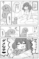 3244648 B