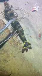 7570066 B
