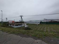1596223 B