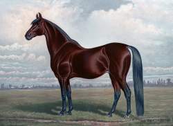 325963 B