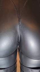 3288781 B