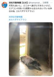 229868 B
