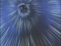 7111711 B