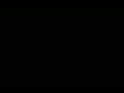 7731694 B