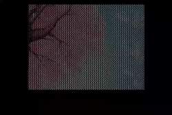 7823809 B
