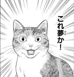100582 B