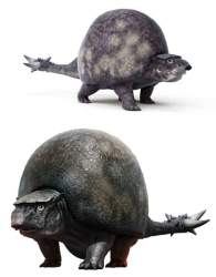 52953 B
