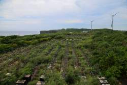 689811 B