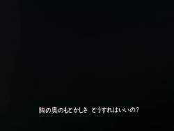 8100262 B