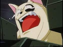 24036 B