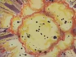 1622149 B