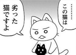 26679 B