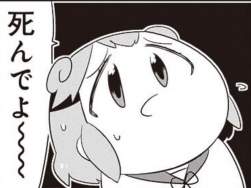 223687 B