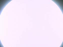 7245832 B