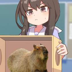 938067 B