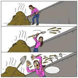 273923 B