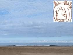 3333429 B