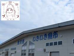 3053757 B