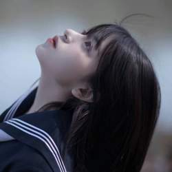 50568 B