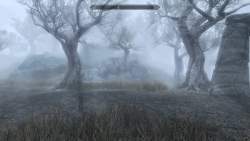 8046086 B